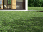 Natural or artificial grass - Modular houses